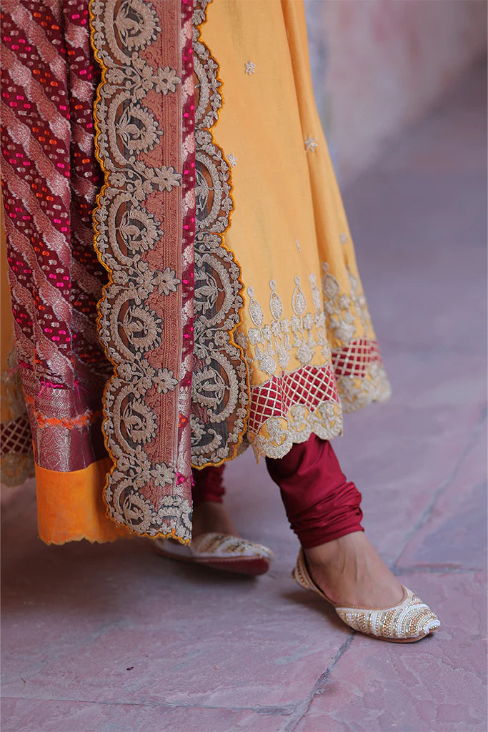 Navya Anarkali Suit