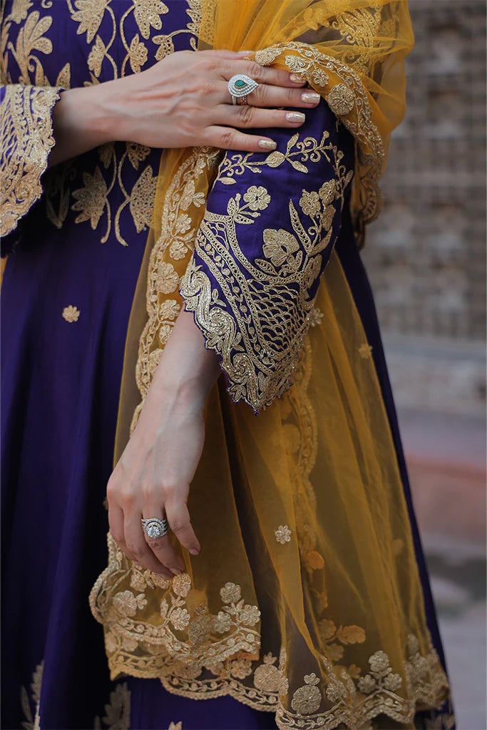 Rani Anarkali Suit