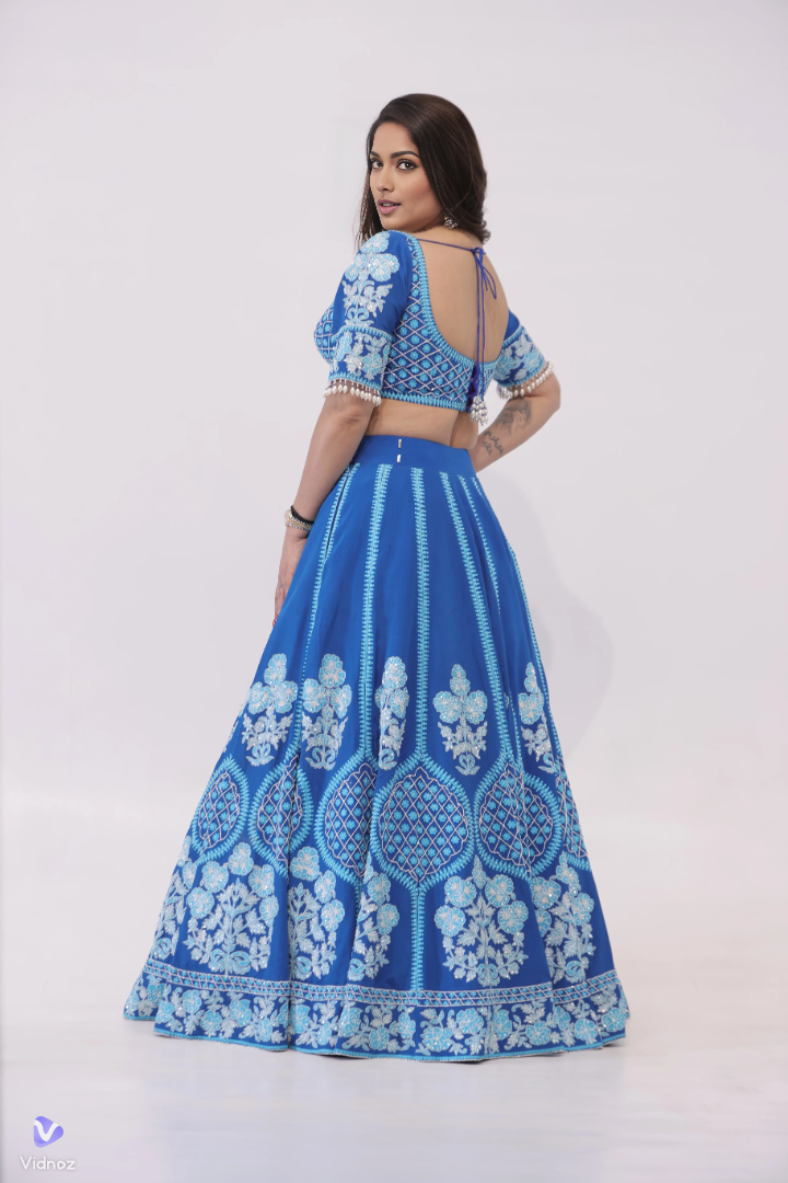 Blue Lehenga, Heavy aari work lehenga, blue and white lehenga